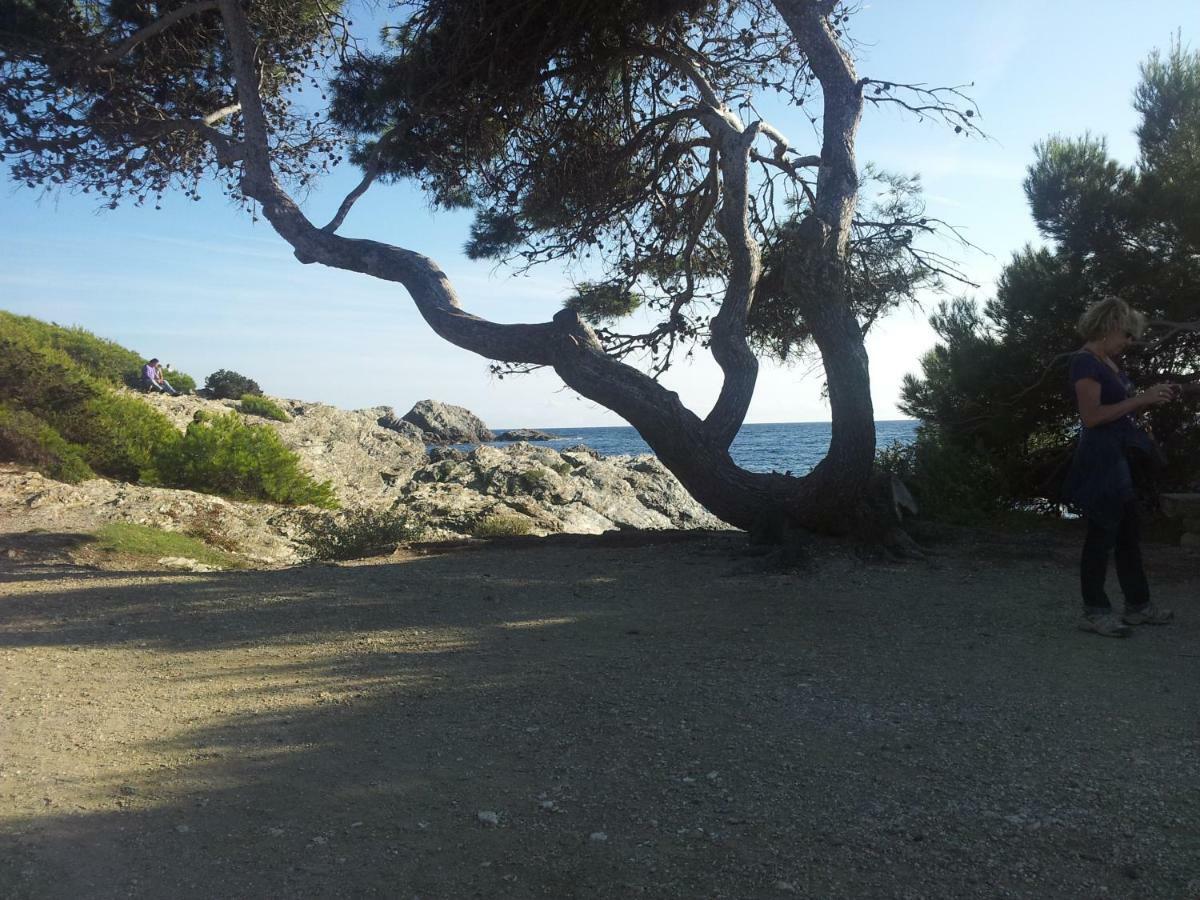 La Petite Maison De Melanie 30M Mer Six-Fours-les-Plages Exterior foto